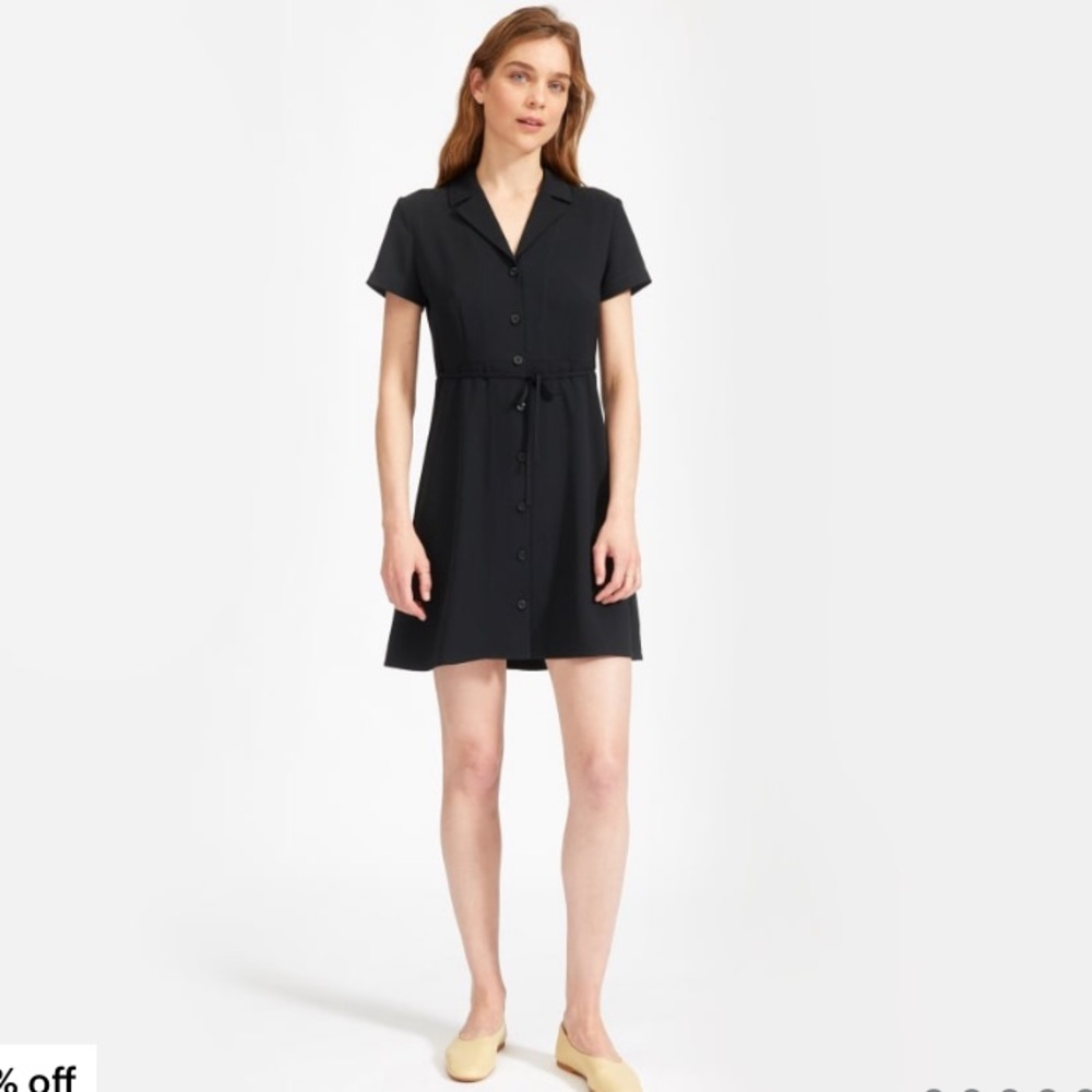 Everlane Japanese GoWeave Notch Shirtdress